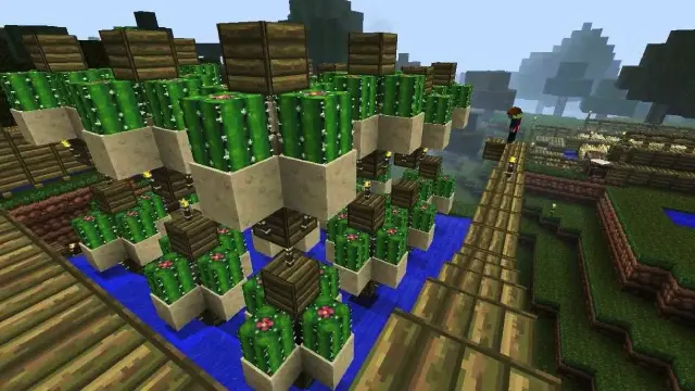 Cactus Farm Minecraft