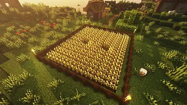 Wheat Farm Minecraft